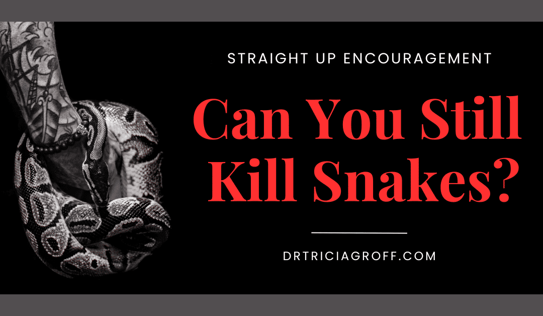 Picture of snake. Title graphic for Can You Still Kill Snakes: When High Achievers forget the skills that got