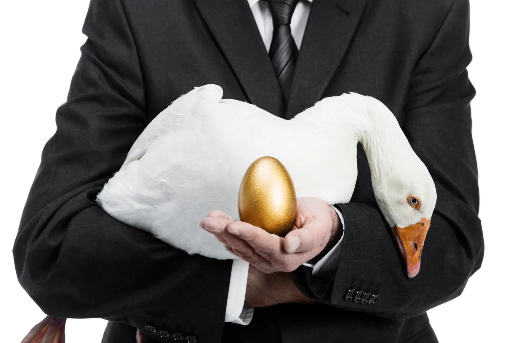 Businessman with golden egg Man in suit holding a goose and a golden egg