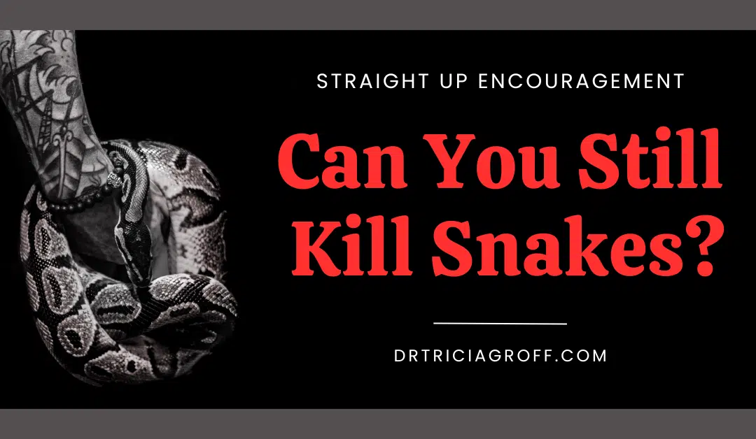 Picture of snake. Title graphic for Can You Still Kill Snakes: When High Achievers forget the skills that got them success.